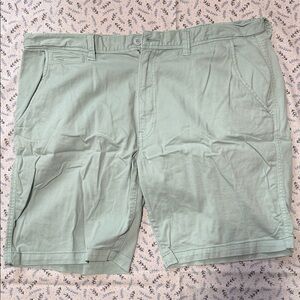 Arizona Jean Company Mint Green Flat Front Shorts
